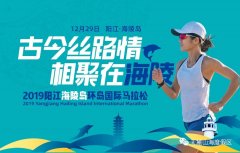 天麓山海激情奔跑，亮相马拉松